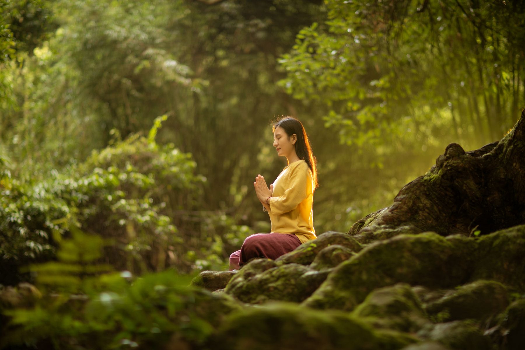 A woman pausing in meditation among sunlit forest trees